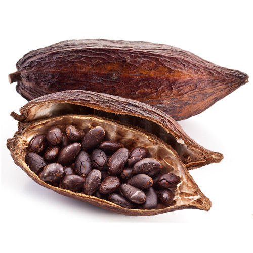 Fèves de cacao